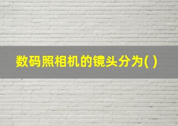 数码照相机的镜头分为( )